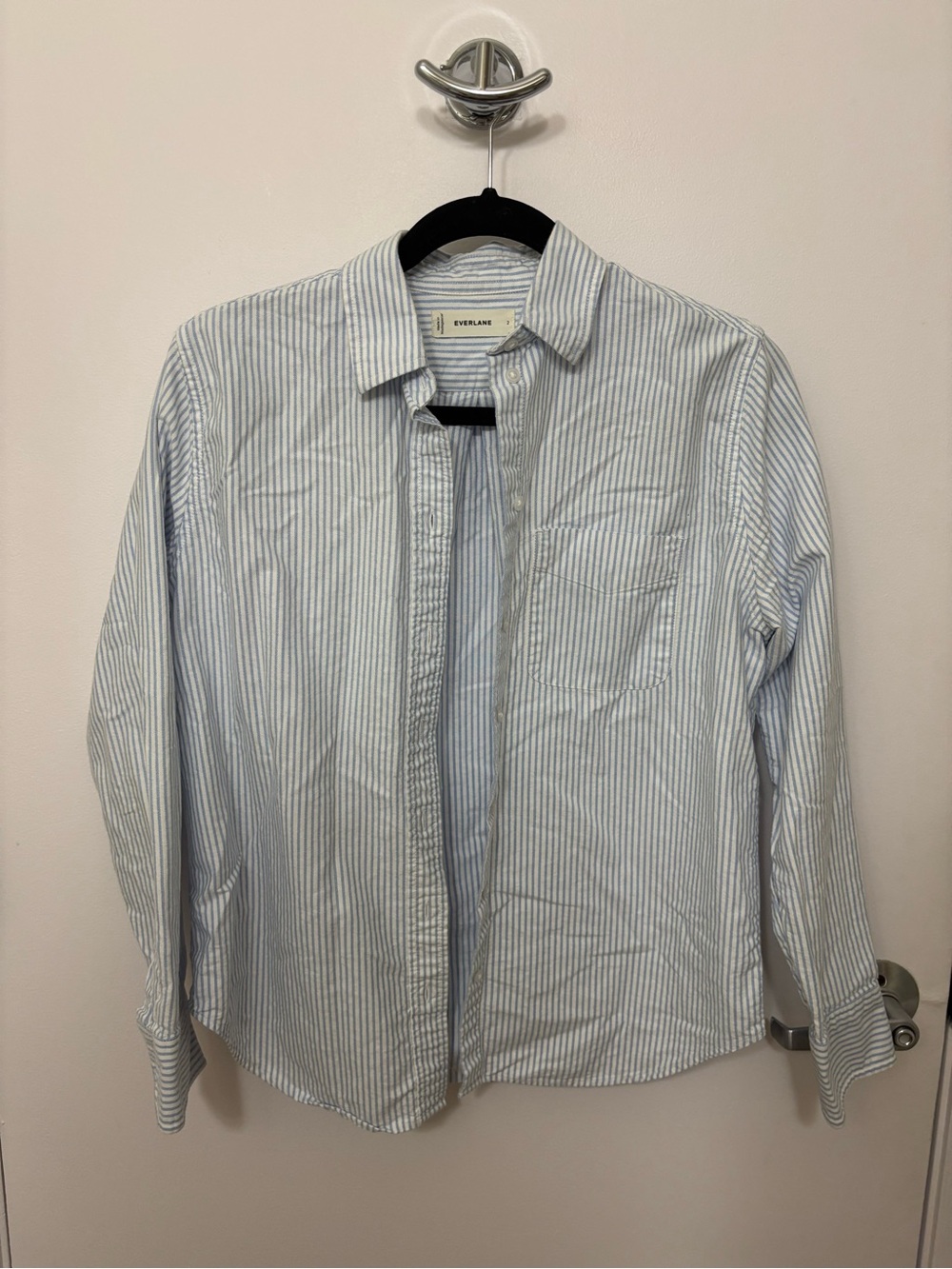 Everlane Light Blue Striped Button-Down Shirt